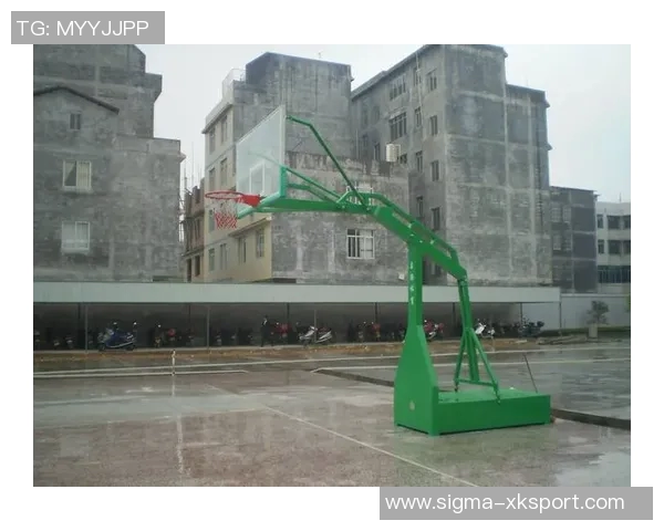 探索篮球架品牌的选择与推荐助你找到理想的运动伙伴